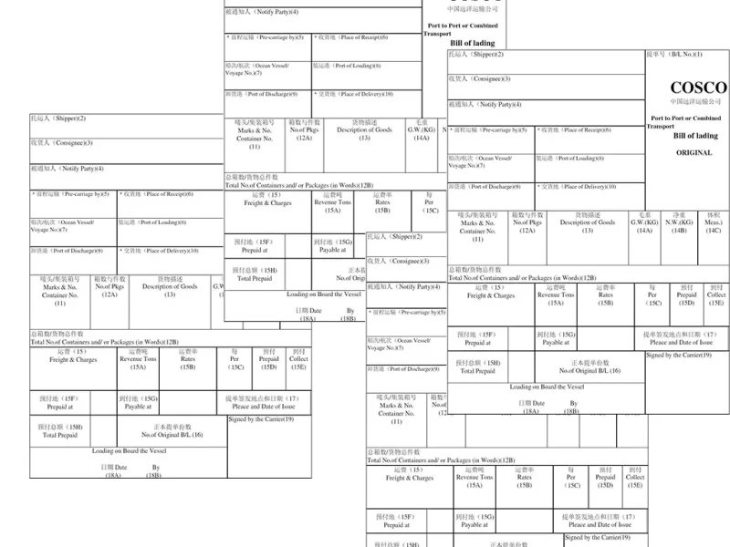 海运提单你认识几种？-MeetyBaby