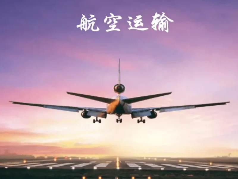 航空运输鉴定报告深度解析：类目细化、案例说明与鉴定标准-MeetyBaby