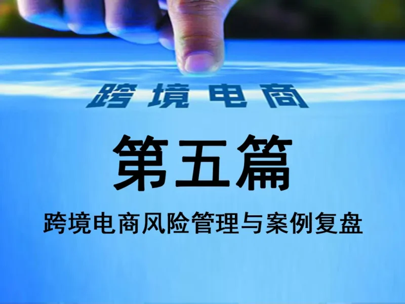 第五篇：跨境电商风险管理与案例复盘（军工级风控版）-MeetyBaby