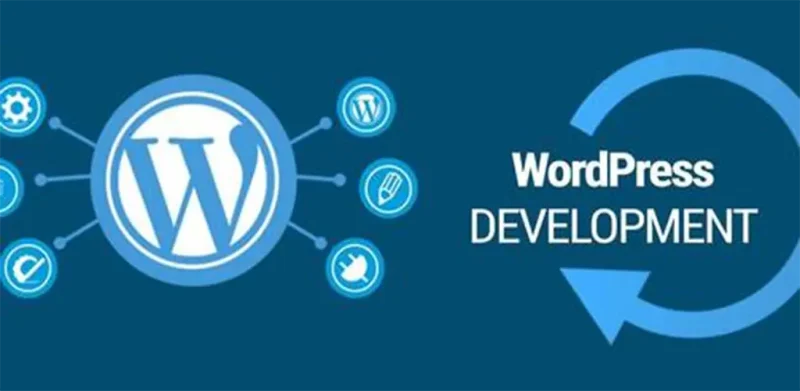 WordPress建站全维度拆解:优势、弊端与生死防线-MeetyBaby