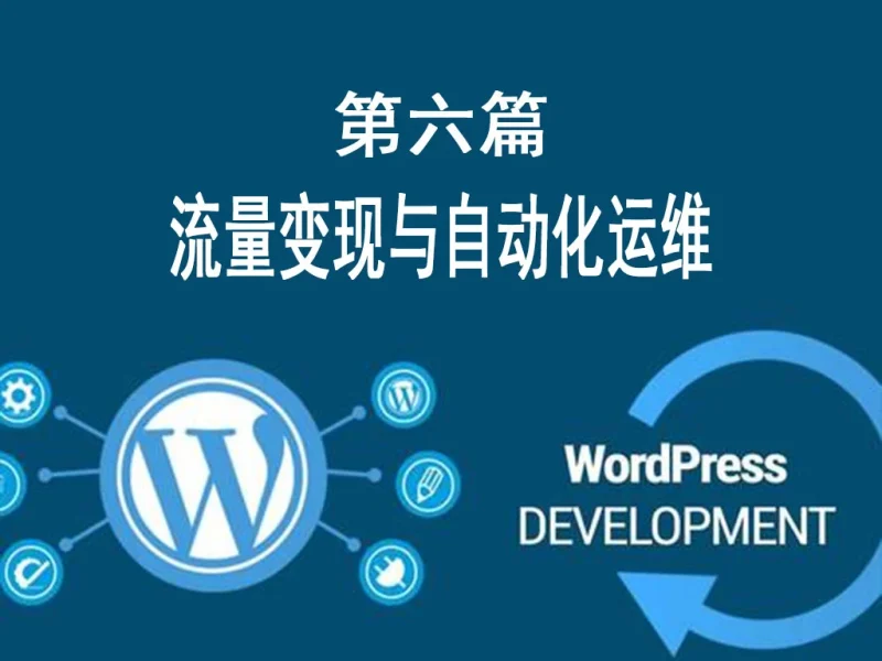 第六篇：流量变现与自动化运维 （合规收益提升+规模化运营指南）-MeetyBaby