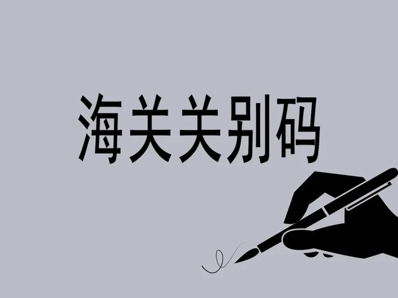 海关关别码全景解析：中国外贸的“神经节点”地图-MeetyBaby