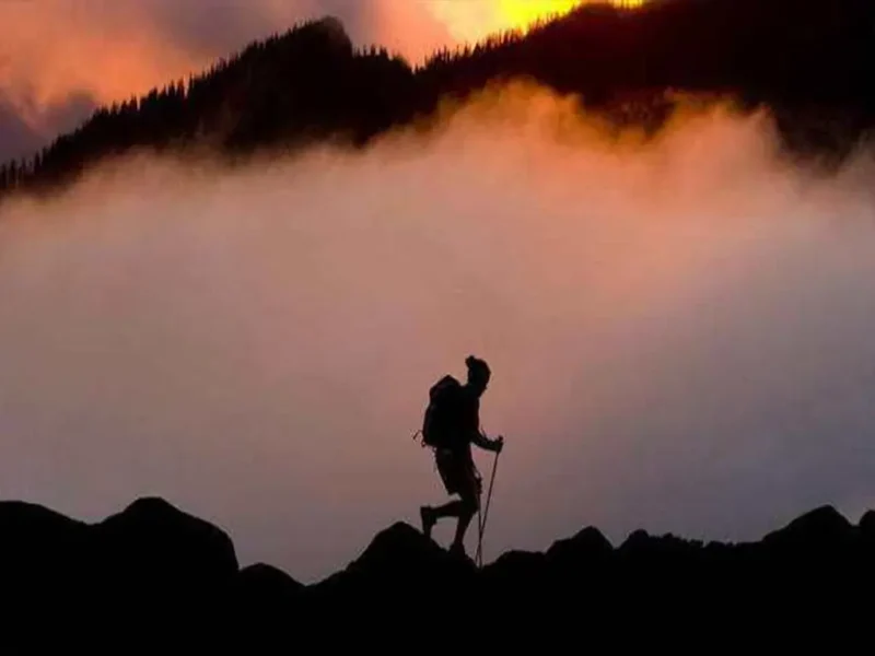 一枚国际货代菜鸟的进阶之路-MeetyBaby