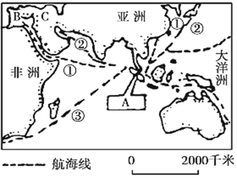 非洲/南美航线核心术语与风险指南-MeetyBaby