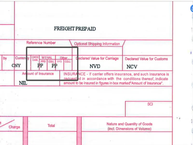 幽默版：航空运单上的PP和CC：货代新人的通关秘籍-MeetyBaby