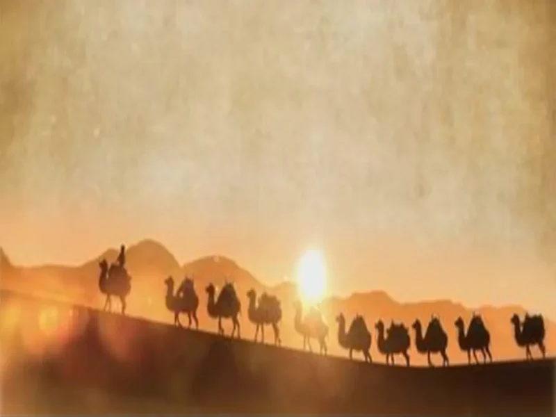 三十年商海浪涌，九万里丝路云帆-MeetyBaby