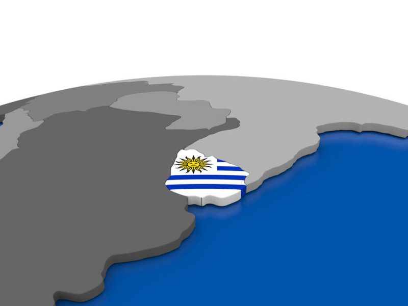 乌拉圭市场深度攻略：高效清关与货款风险防控指南-MeetyBaby