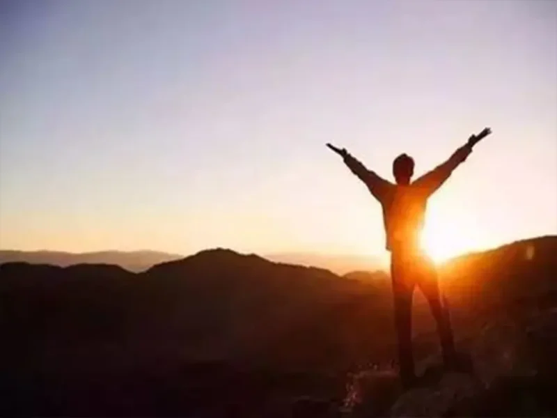 如何成为真正出色的货运代理人：从入门到精通的实战手册-MeetyBaby